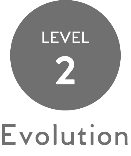 Level2・evolution