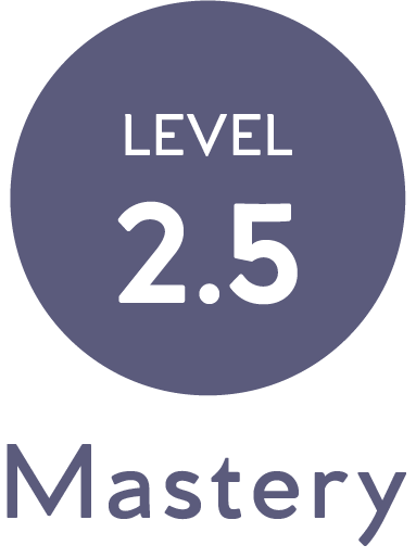 Level2.5・mastery