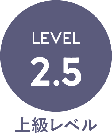 Level2.5・上級レベル